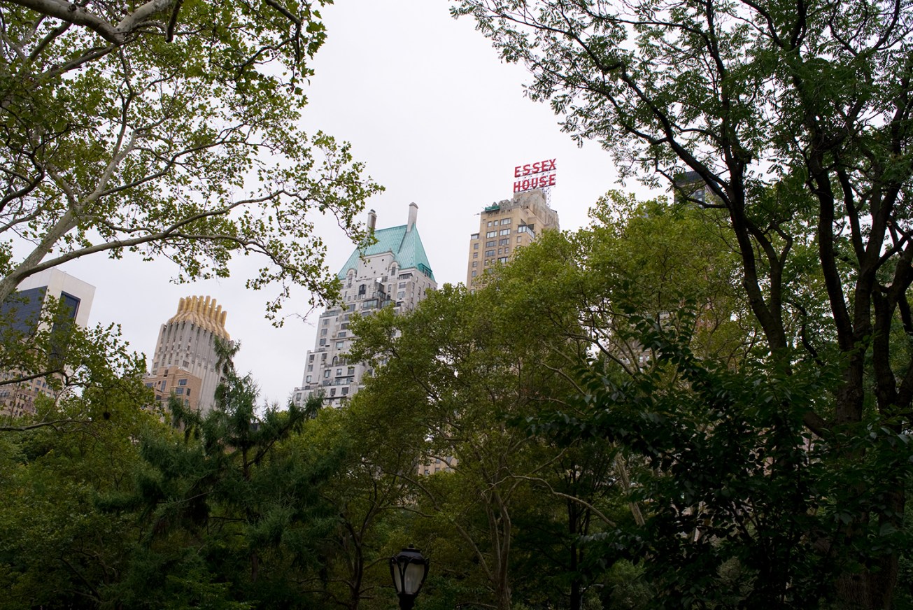 centralpark_06