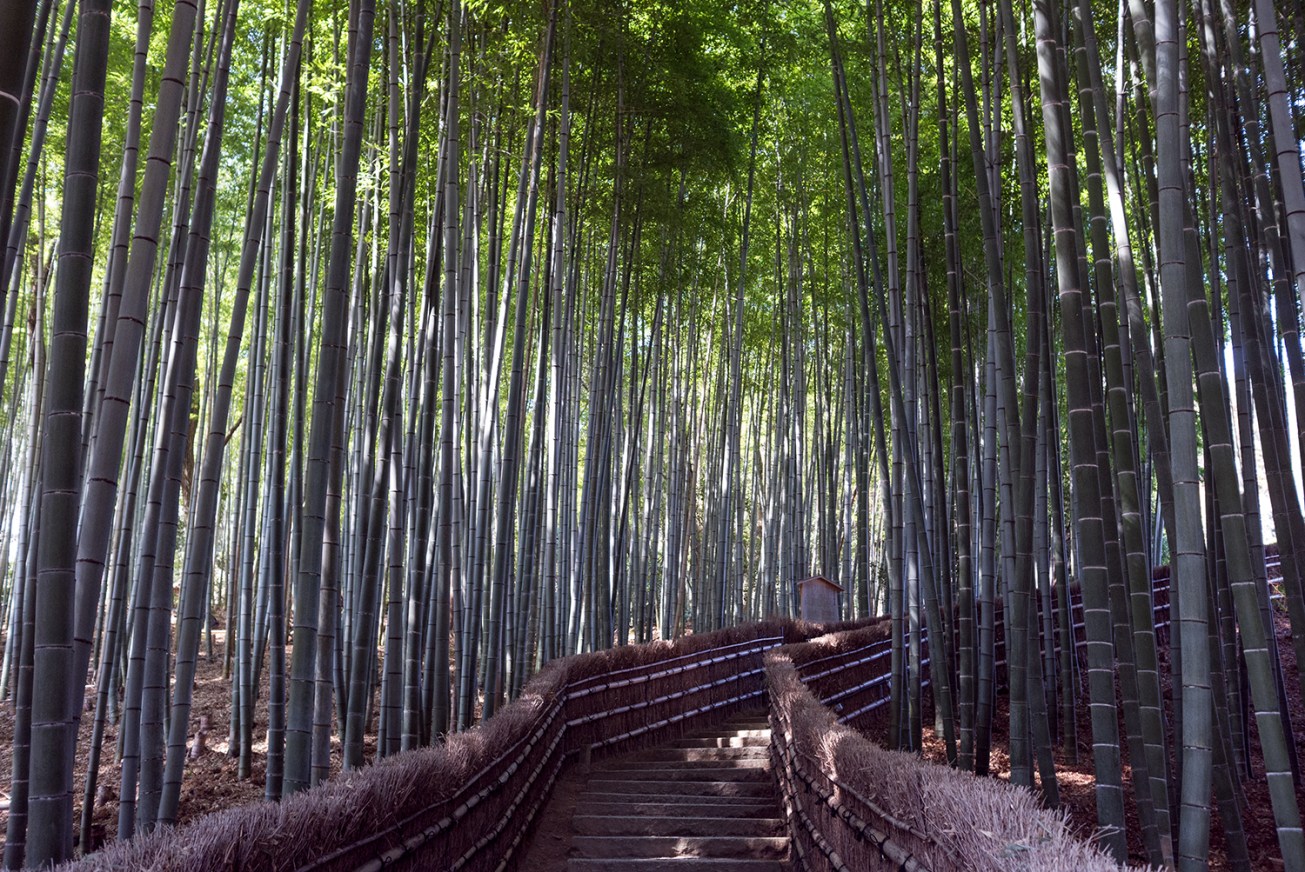 adashino nebutso-ji temple-13