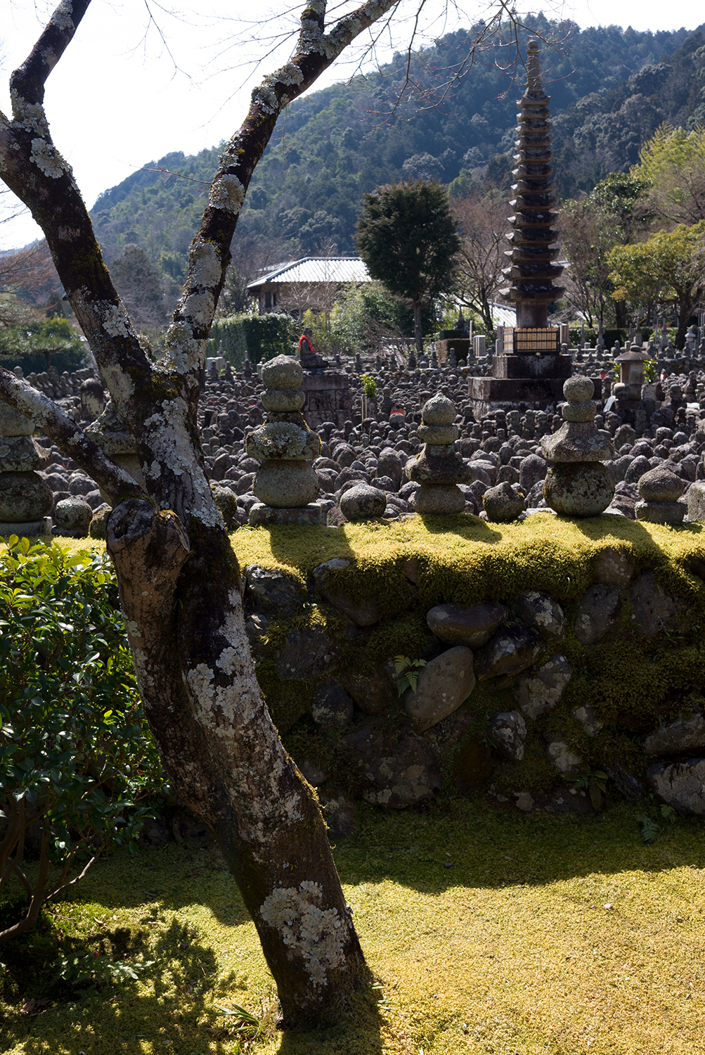 adashino nebutso-ji temple-24