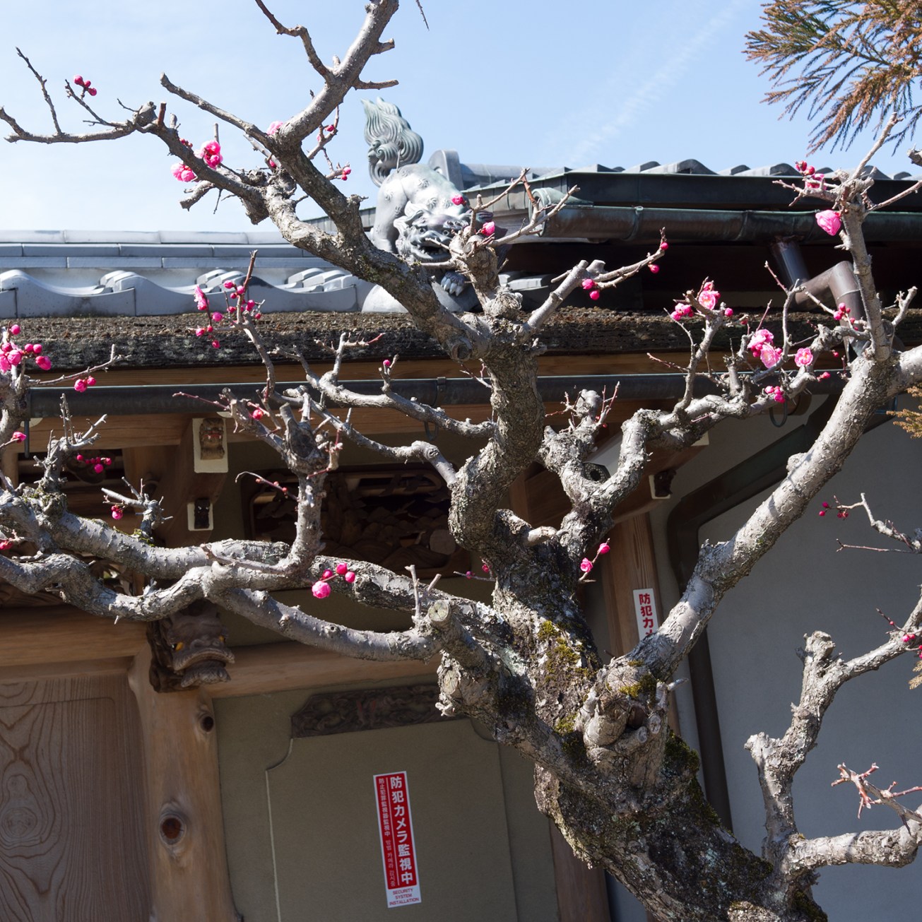 adashino nebutso-ji temple-26