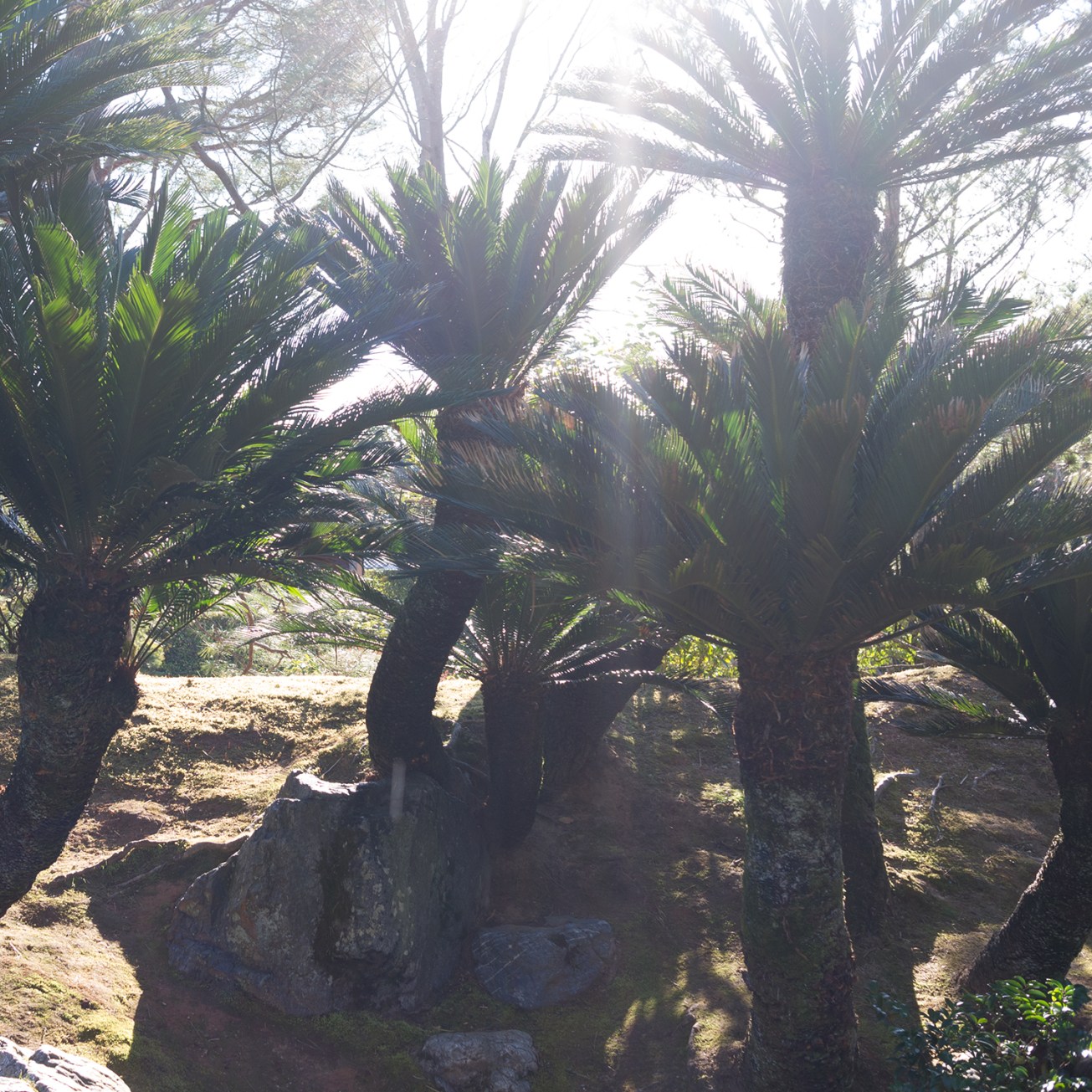 katsura imperial villa-8