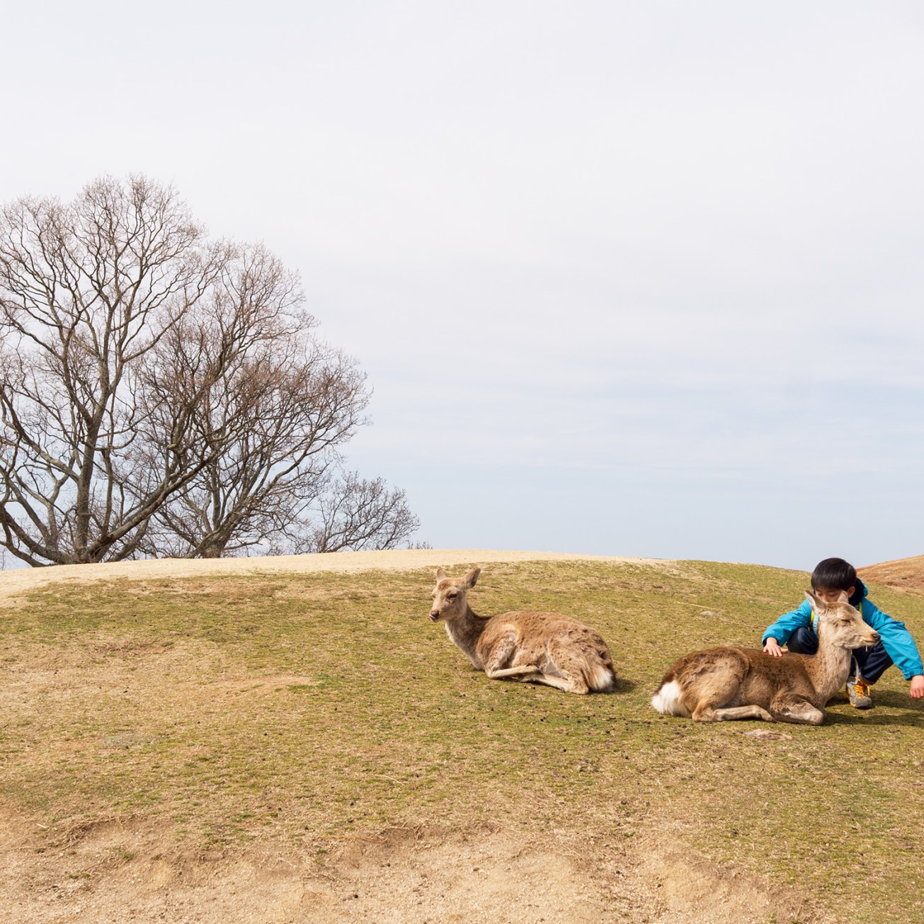 nara_hill-15