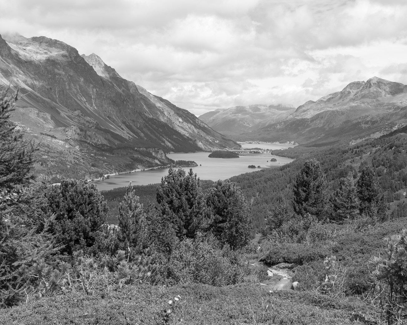 maloja-motta salicina-13