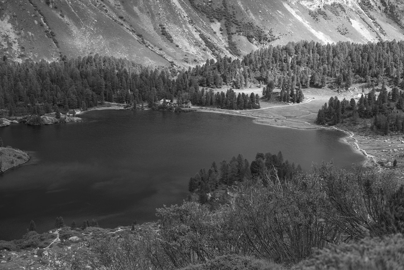 maloja-motta salicina-18