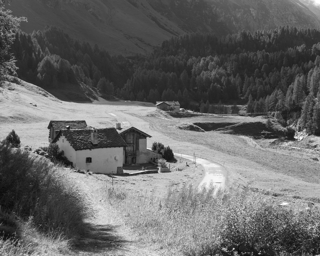 maloja-motta salicina-2