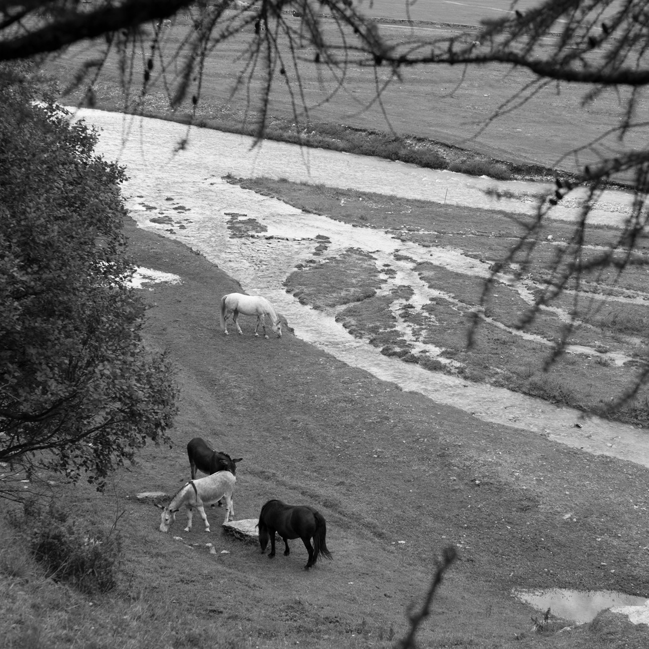 maloja-sils-silvaplana-1