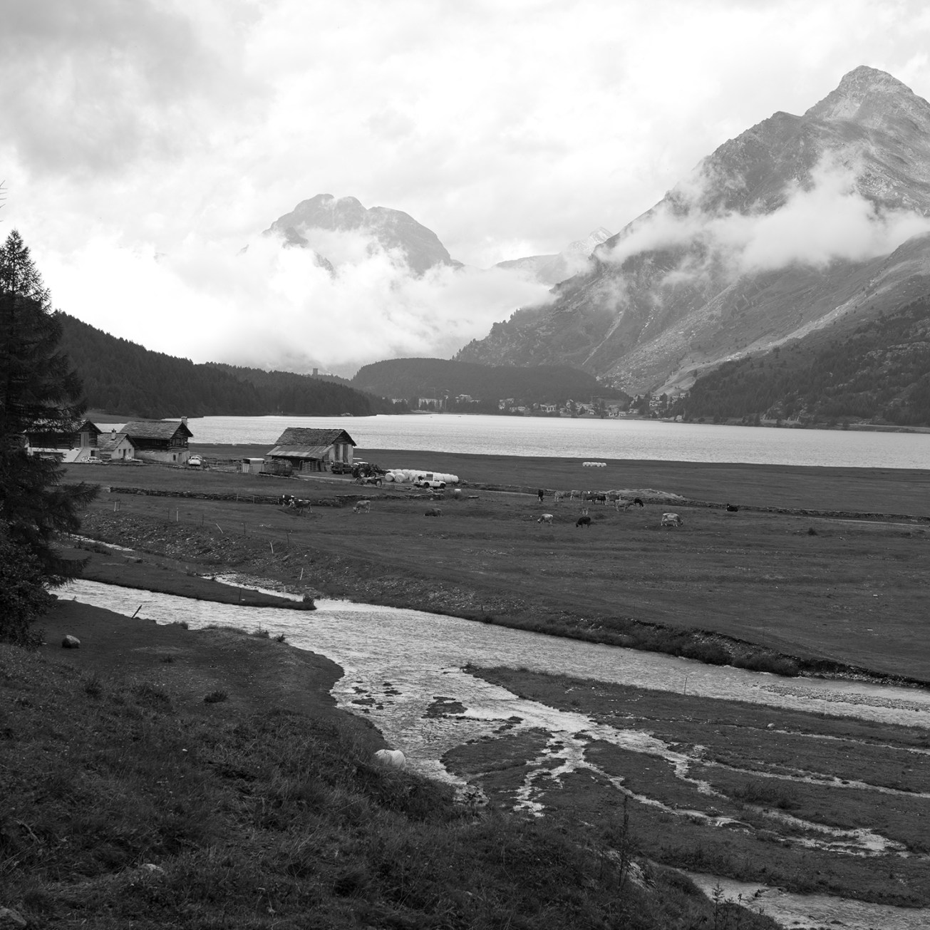 maloja-sils-silvaplana-2