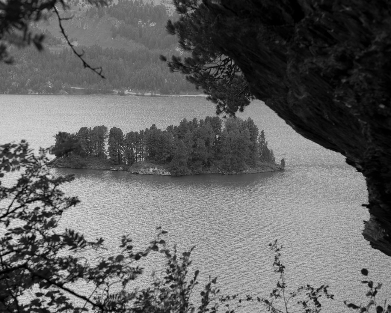 maloja-sils-silvaplana-3