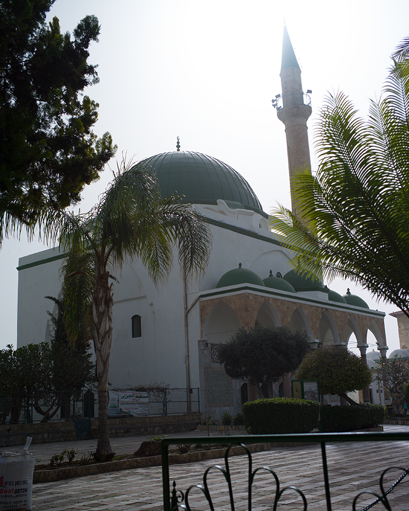 akko_mosc_01 (36 von 1)