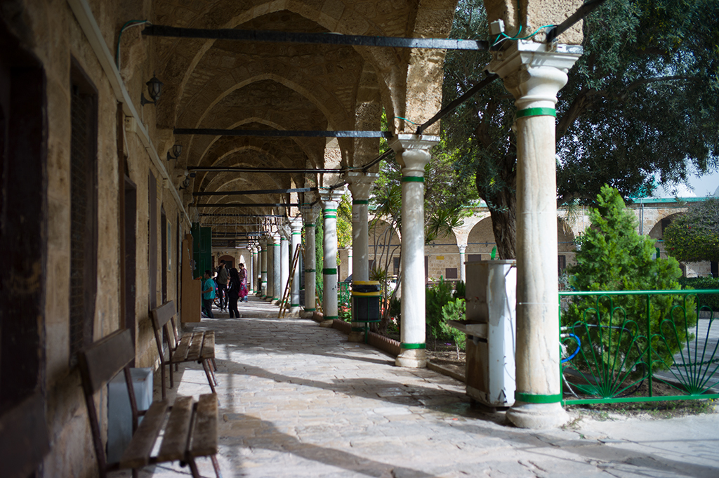 akko_mosc_01 (41 von 1)