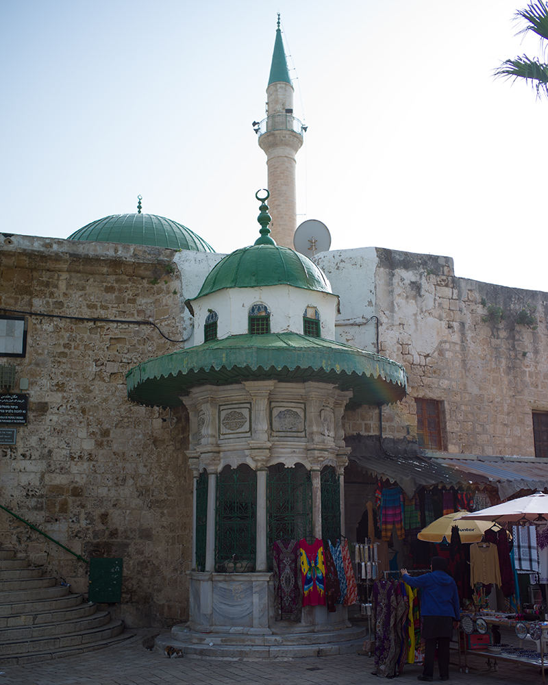 akko_mosc_01 (42 von 1)