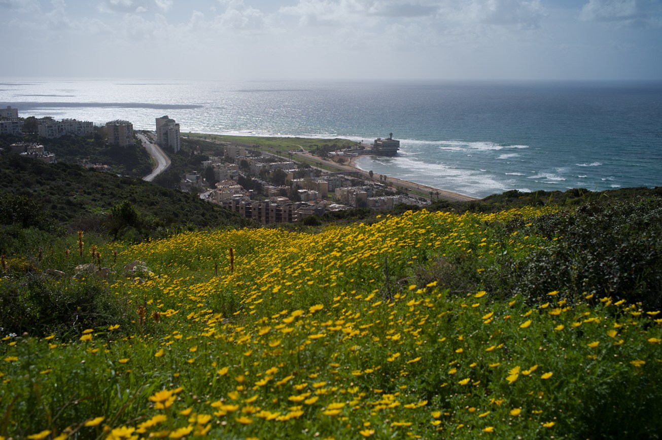 haifa (51 von 1)