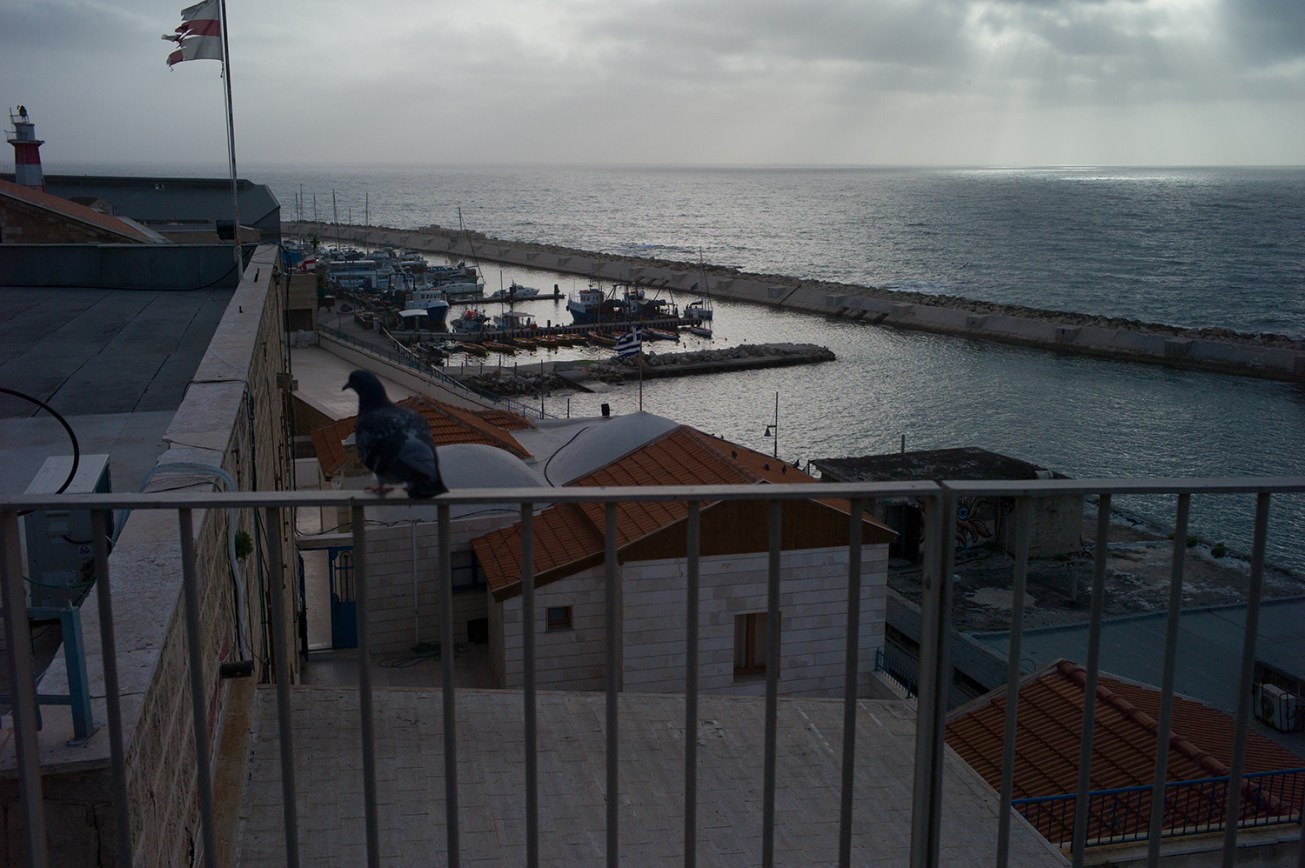 jaffa port (87 von 1)