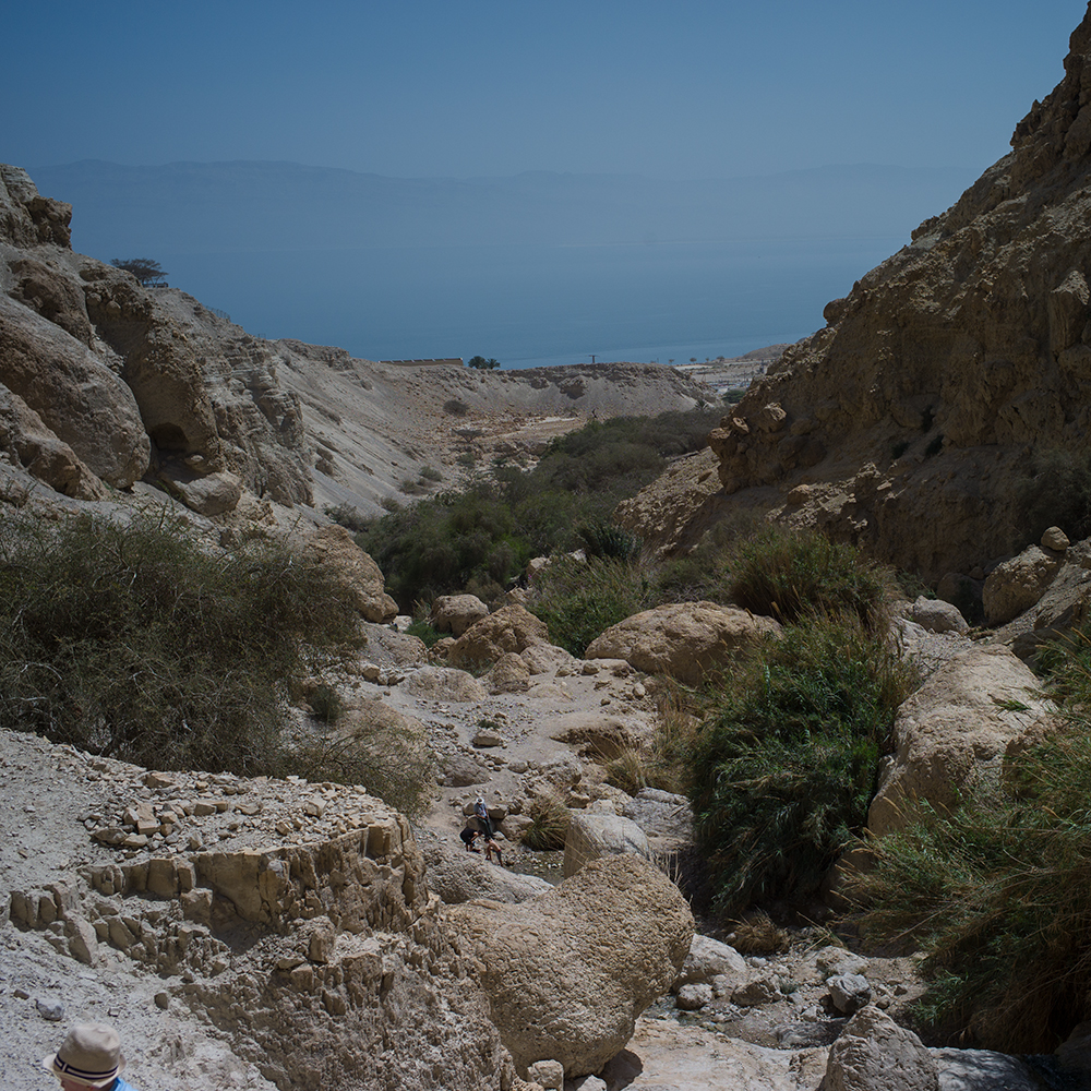 ein gedi (14 von 1)