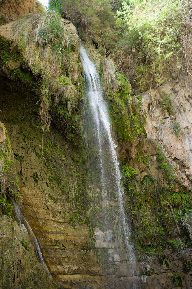 ein gedi (17 von 1)