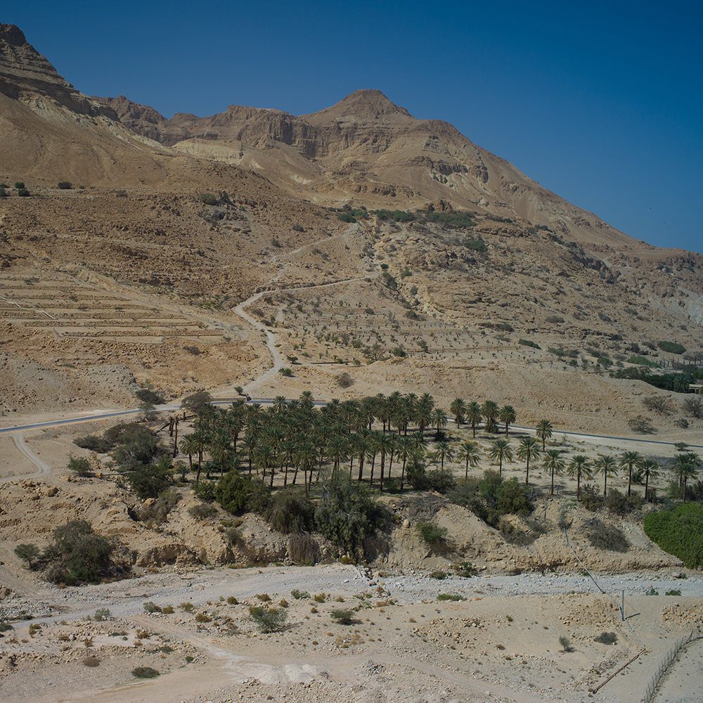 ein gedi (38 von 1)
