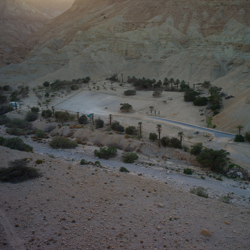 ein gedi (43 von 1)