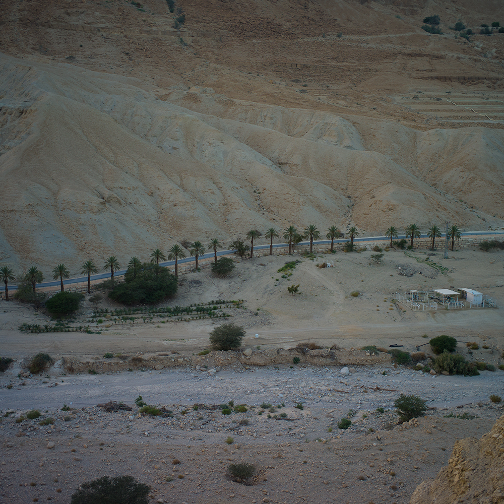 ein gedi (45 von 1)
