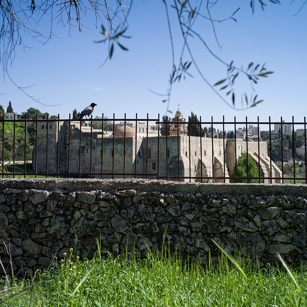 neuesJerusalem+kiesler (6 von 1)