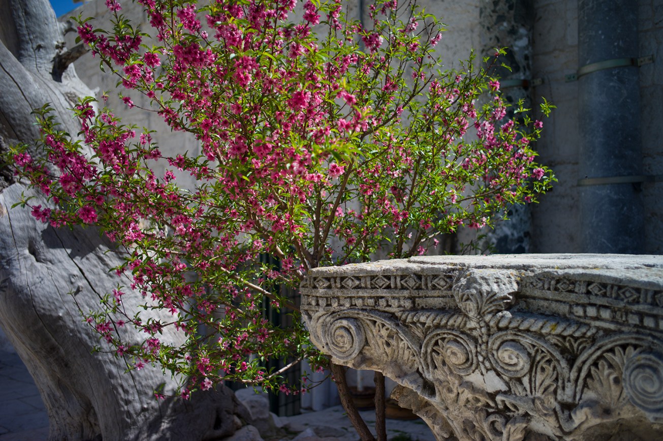 tempelberg (35 von 1)