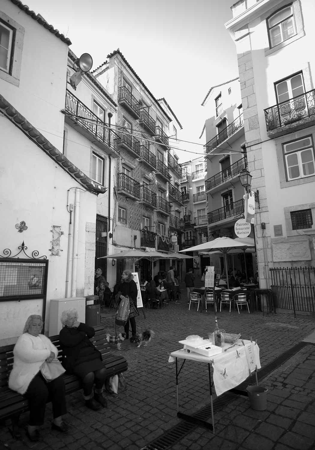 alfama (49 von 1)