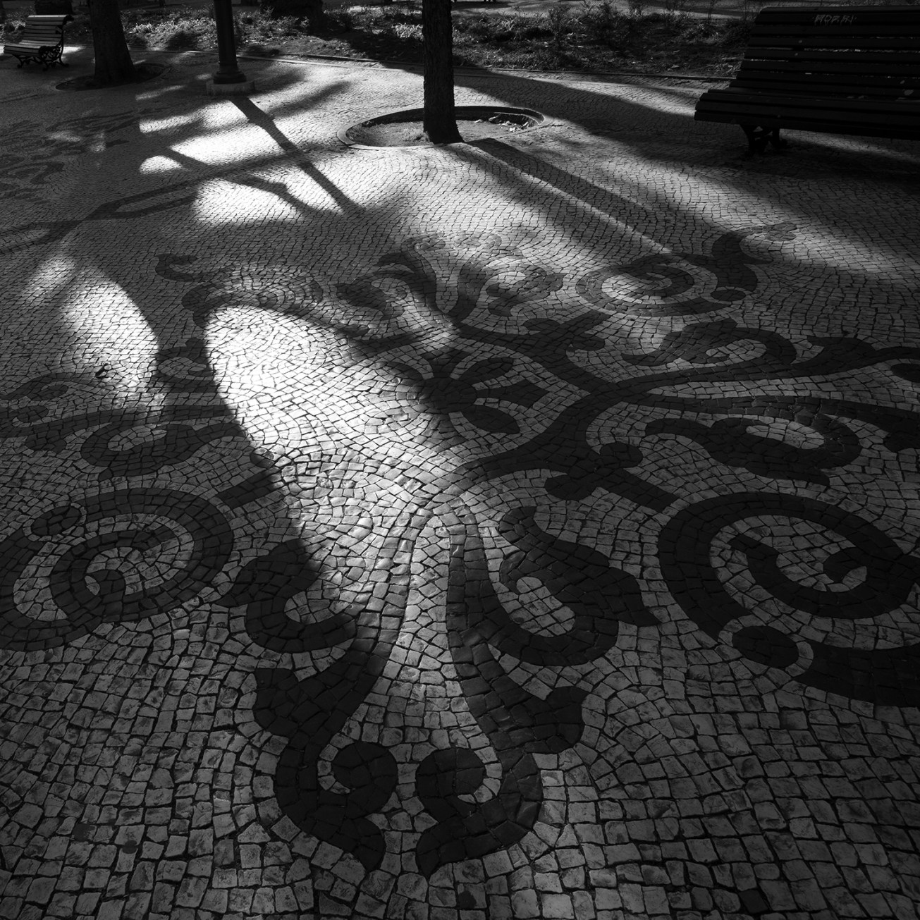 bairro alto (7 von 1)