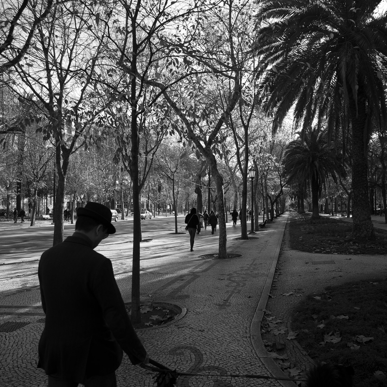 bairro alto (8 von 1)