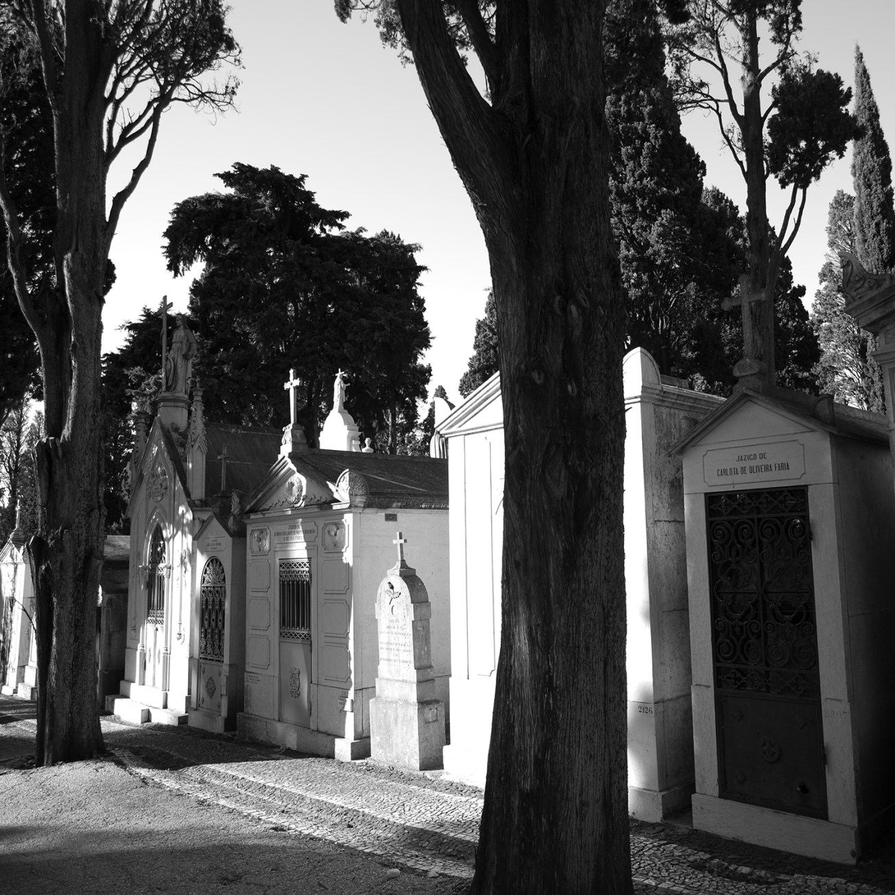 lapa+alfama (25 von 1)