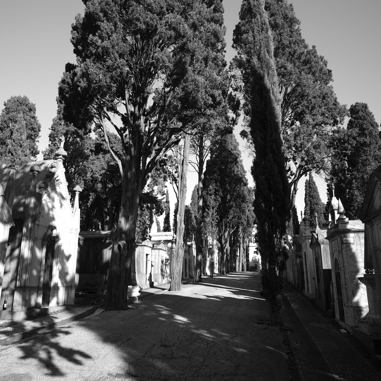 lapa+alfama (26 von 1)