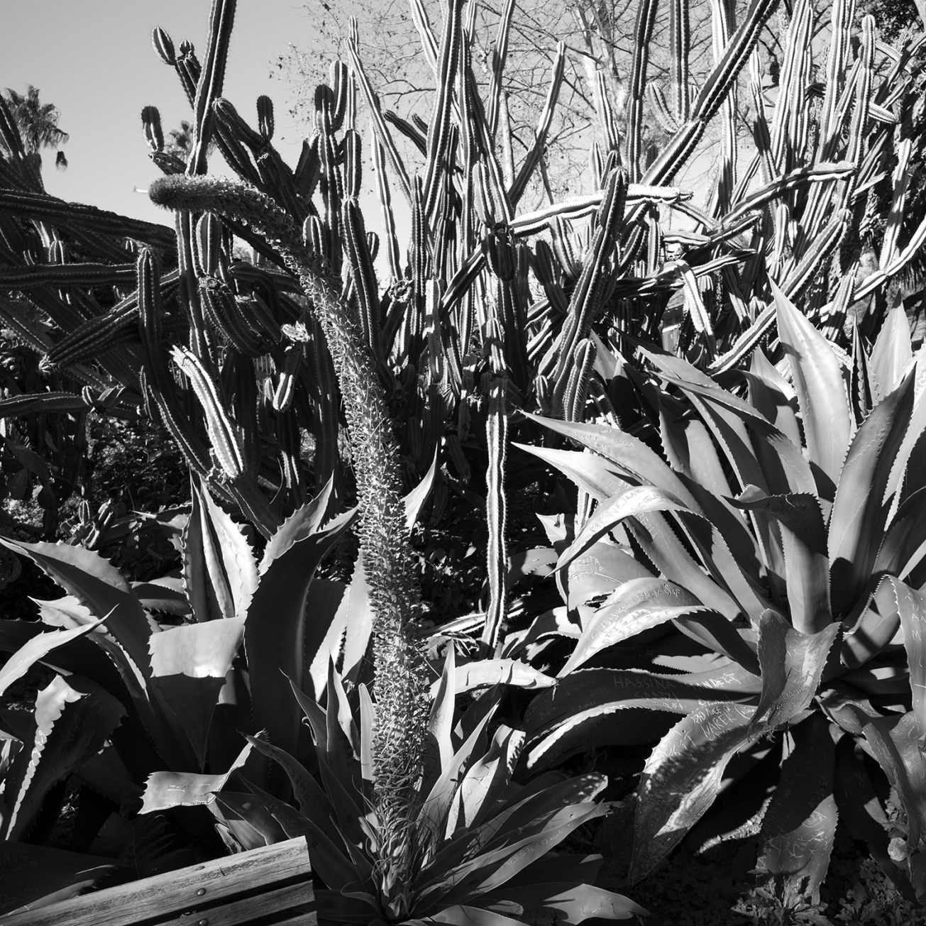 lapa+alfama (3 von 1)