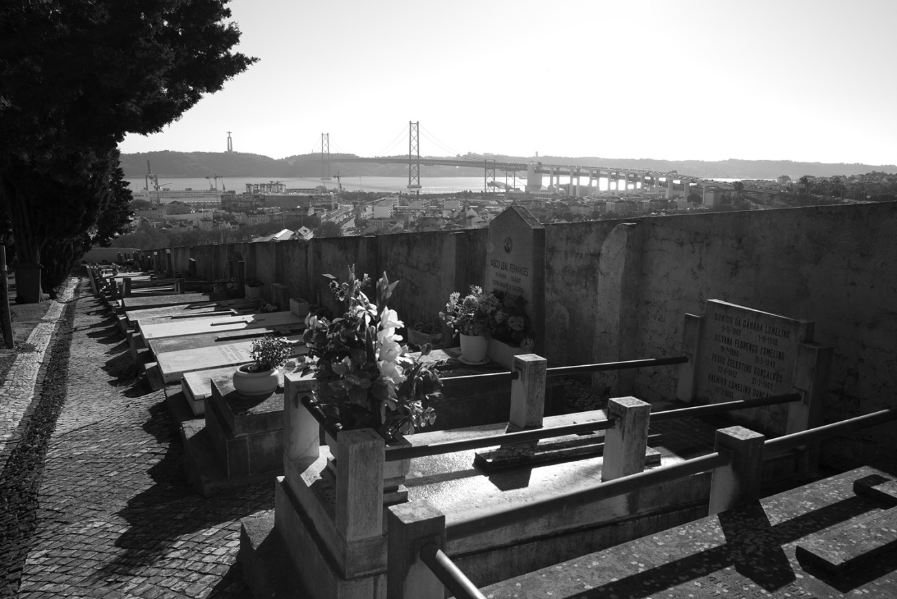 lapa+alfama (30 von 1)