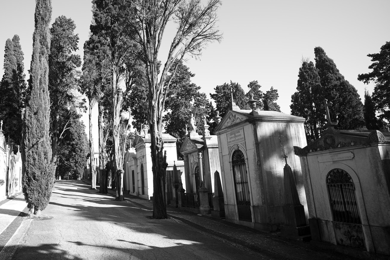 lapa+alfama (31 von 1)