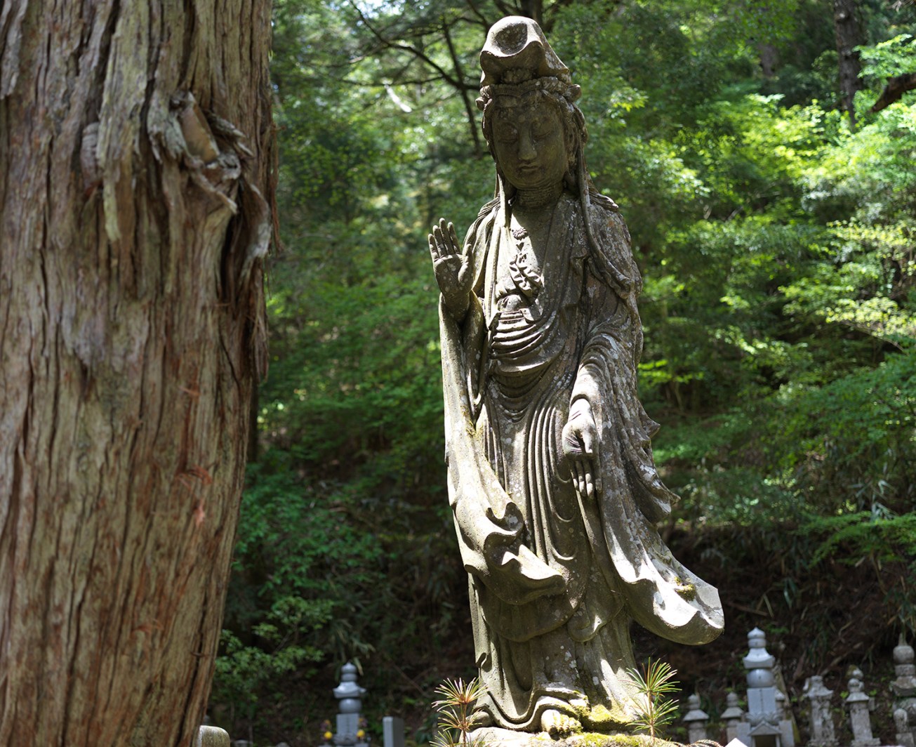 osaka_koyaSan_0091