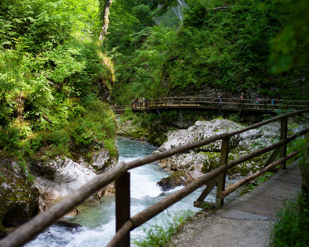 soteska vingar (10 von 1)