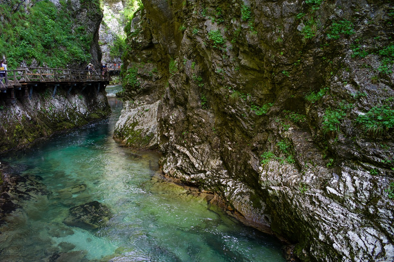 soteska vingar (17 von 1)