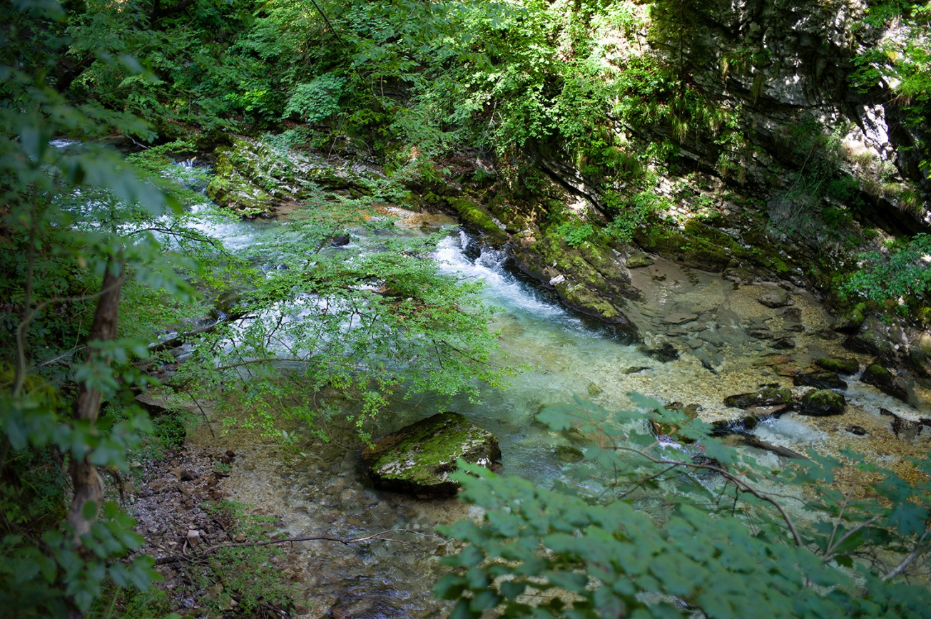 soteska vingar (21 von 1)