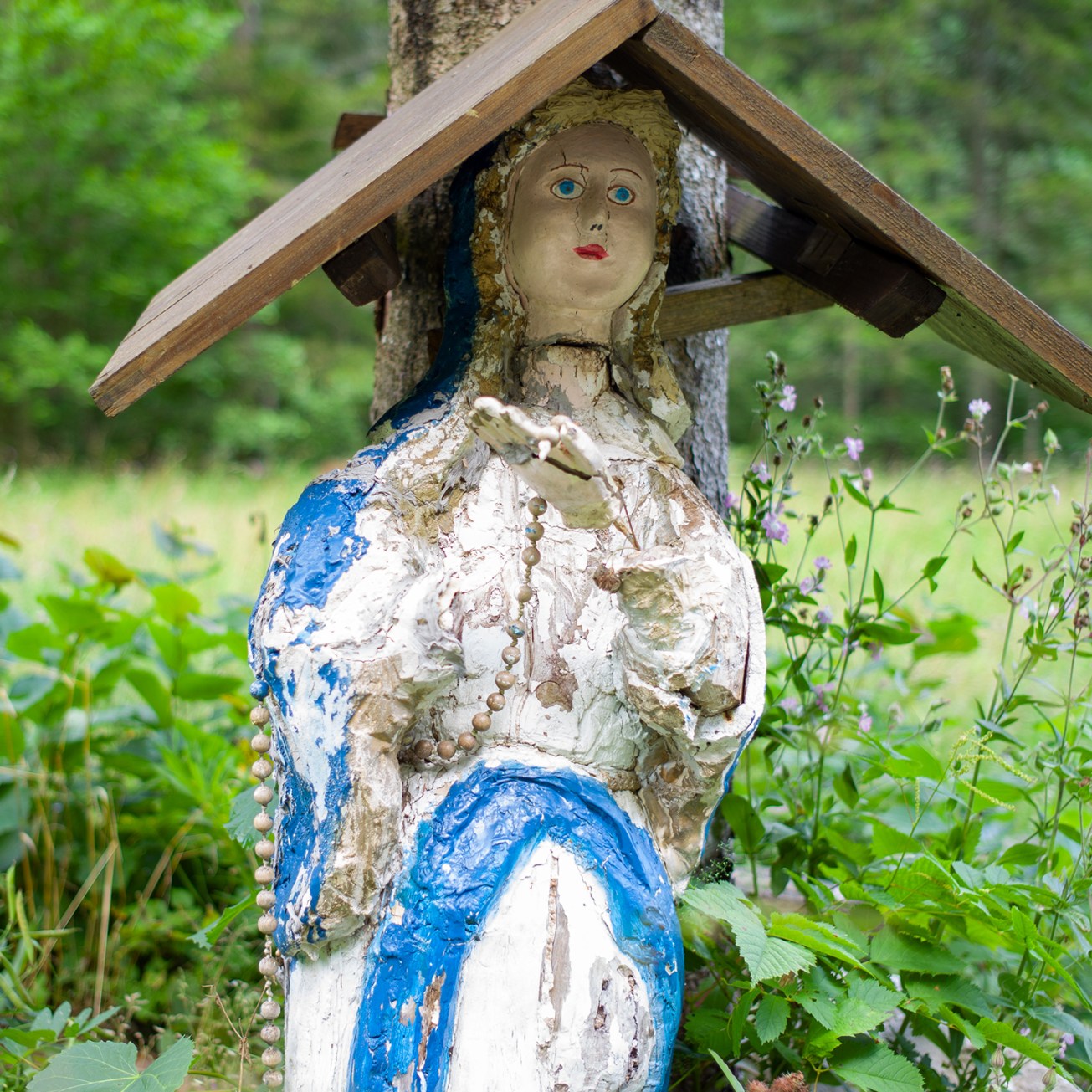 voje tal+slap mostnice (14 von 1)