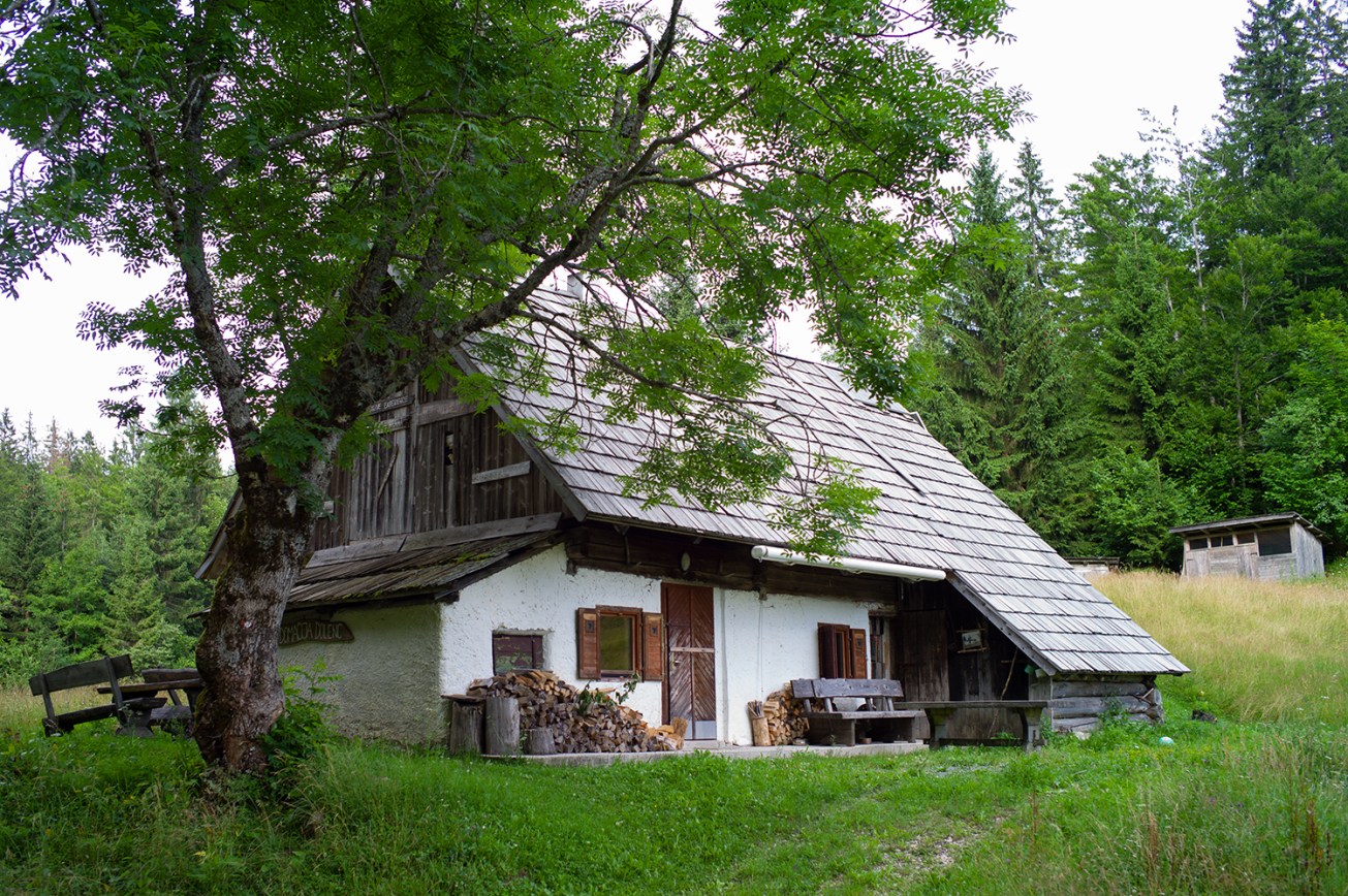 voje tal+slap mostnice (20 von 1)