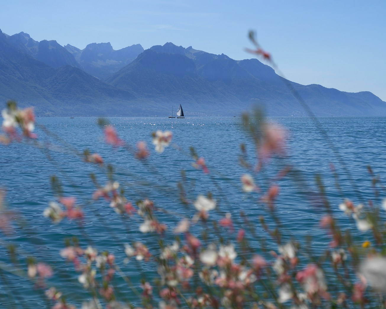 montreux_0025