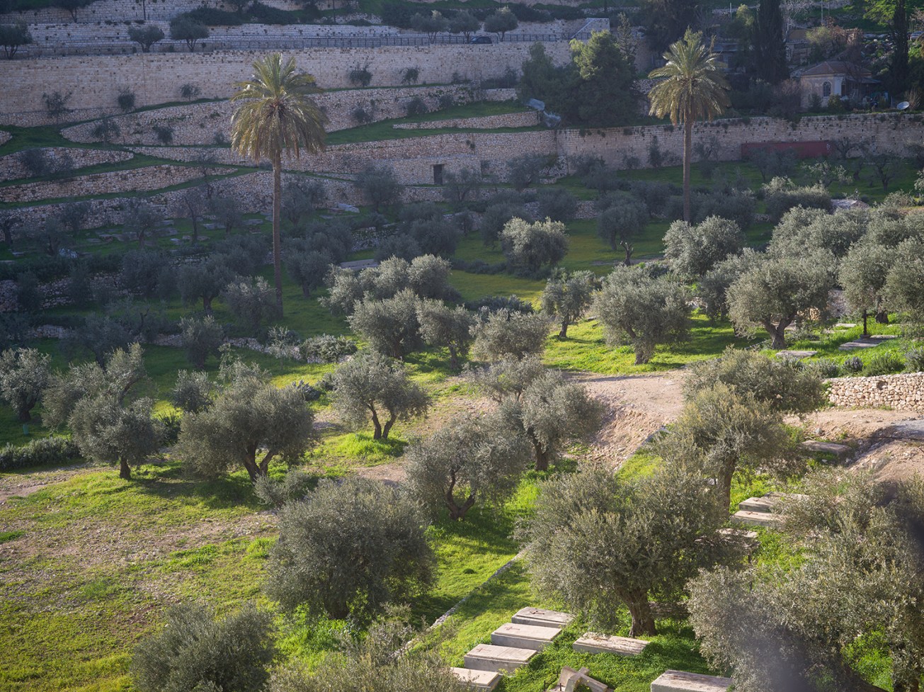 kidron valley-39