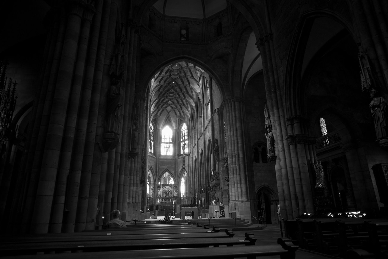 freiburger muenster-2