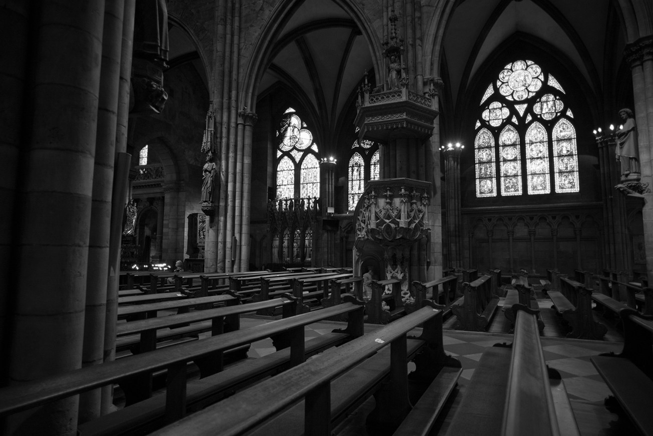 freiburger muenster-8