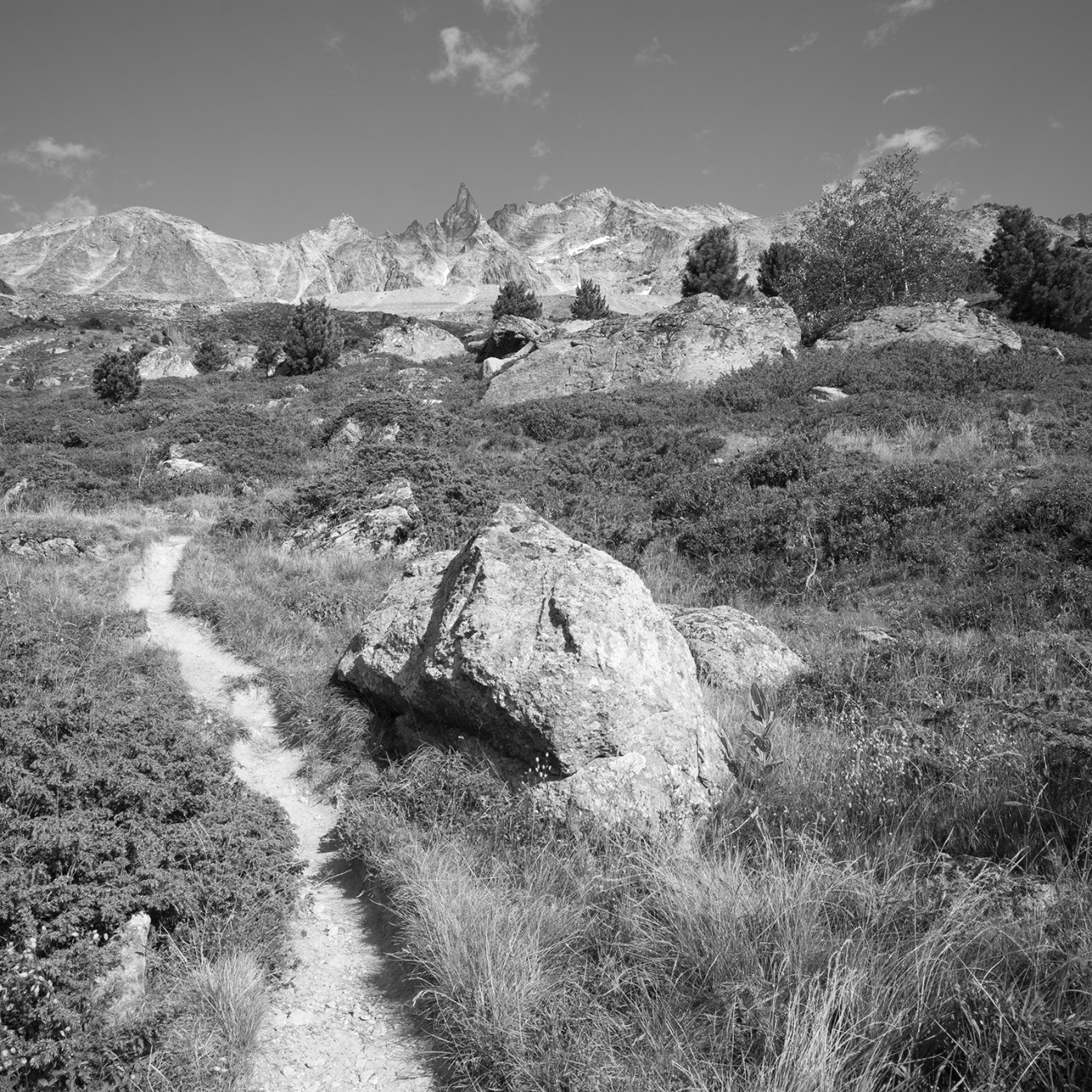 Cabane de la Tsa_2607m-2607 m-13