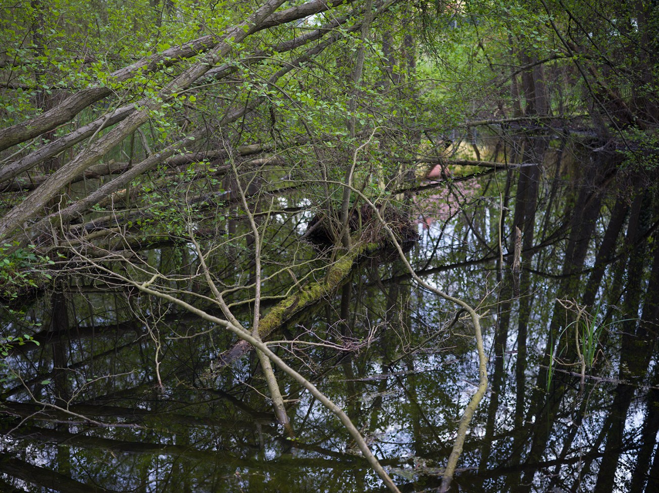 sutschketal+krummensee-17
