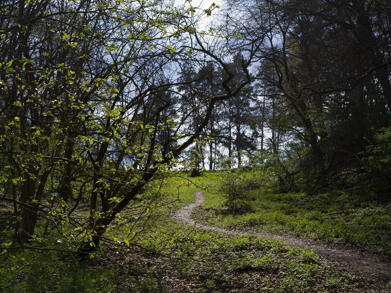 sutschketal+krummensee-2