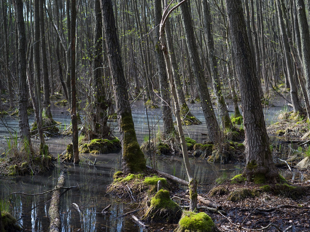 sutschketal+krummensee-6