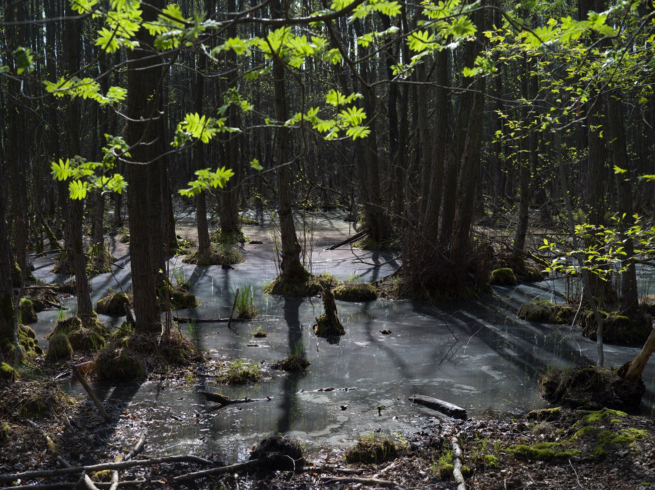 sutschketal+krummensee-8