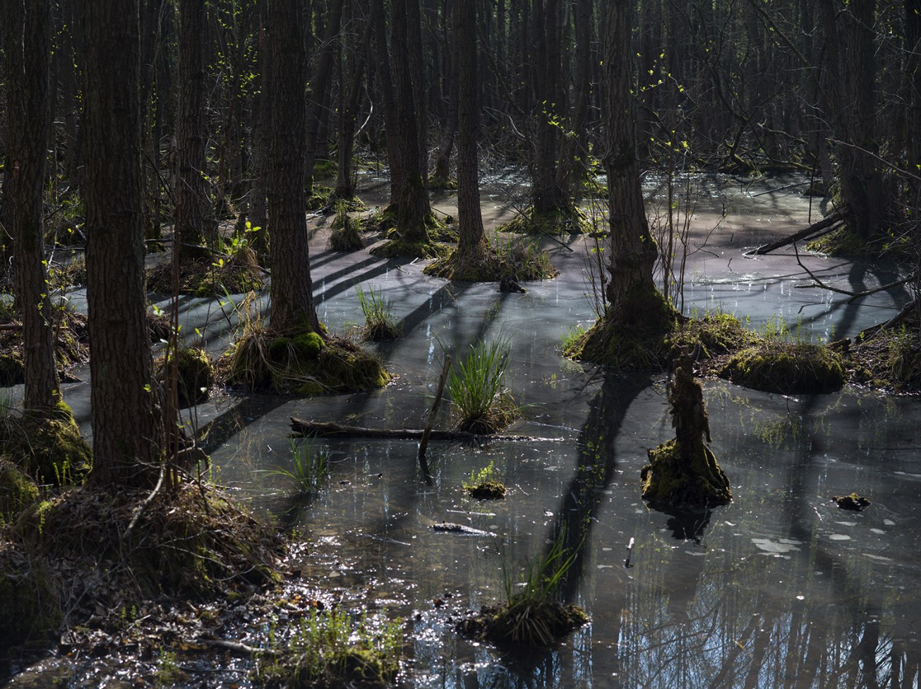 sutschketal+krummensee-9